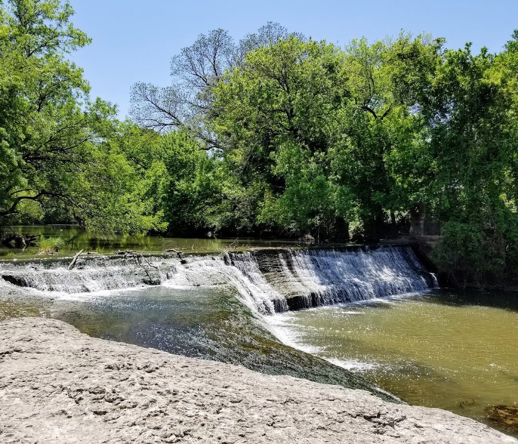 Oakmont Park Prairie Restoration & Outreach Volunteers 1